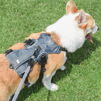 Correa Antiroturas Reflectante para Perros de Tracción Fuerte - Image 29