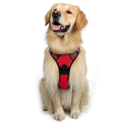 Chaleco Reflectante para Perro con Arnés de Pecho y Espalda Transpirable - Image 17