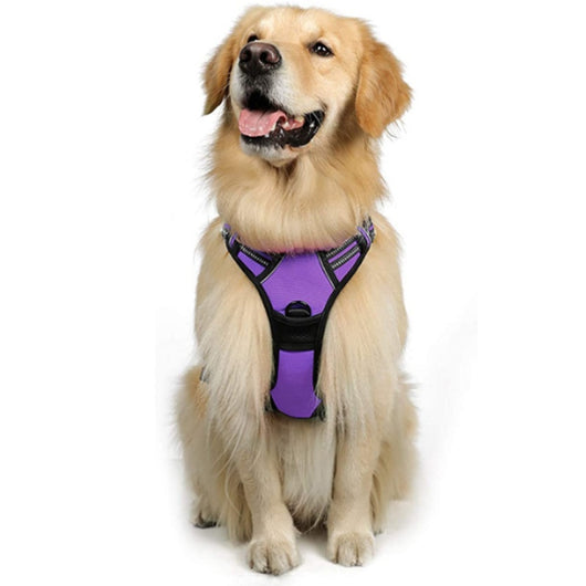 Chaleco Reflectante para Perro con Arnés de Pecho y Espalda Transpirable - Image 18