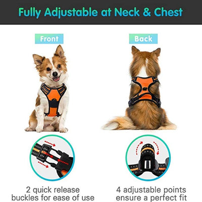 Chaleco Reflectante para Perro con Arnés de Pecho y Espalda Transpirable - Image 20