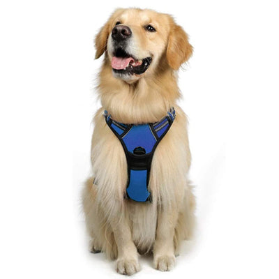 Chaleco Reflectante para Perro con Arnés de Pecho y Espalda Transpirable - Image 21
