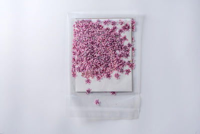 Marcapáginas con Flor de Cerezo Deshidratada - Accesorio Ornamental con Espécimen Botánico - Image 26