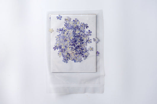 Marcapáginas con Flor de Cerezo Deshidratada - Accesorio Ornamental con Espécimen Botánico - Image 30