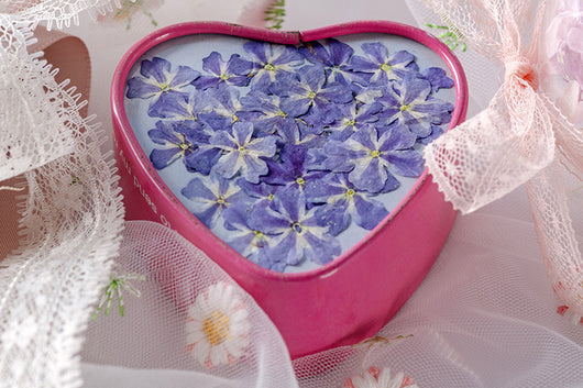 Marcapáginas con Flor de Cerezo Deshidratada - Accesorio Ornamental con Espécimen Botánico - Image 33