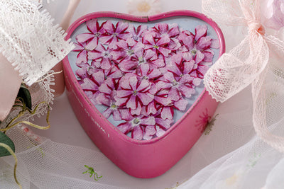 Marcapáginas con Flor de Cerezo Deshidratada - Accesorio Ornamental con Espécimen Botánico - Image 35