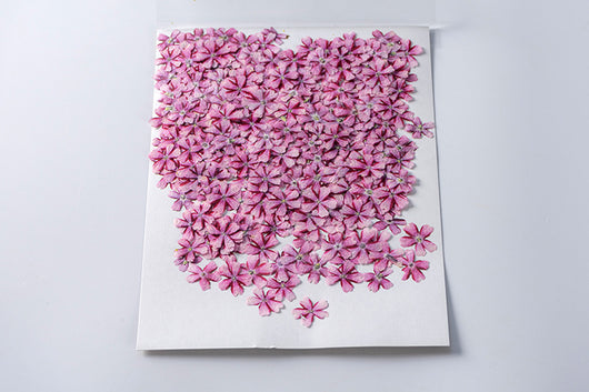 Marcapáginas con Flor de Cerezo Deshidratada - Accesorio Ornamental con Espécimen Botánico - Image 38