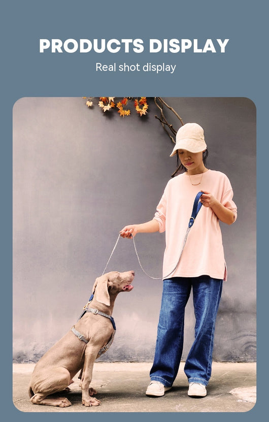Arnés de Paseo Reflectante para Perros - Correa de Sujeción Segura y Cómoda - Image 22