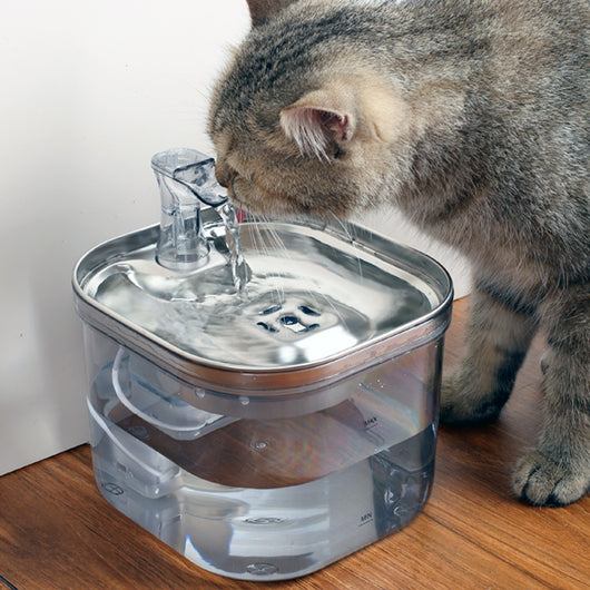 Automatic pet water fountain with clear reservoir, stainless steel top, and flowing water spout, shown with power adapter and filter set. - Image 19