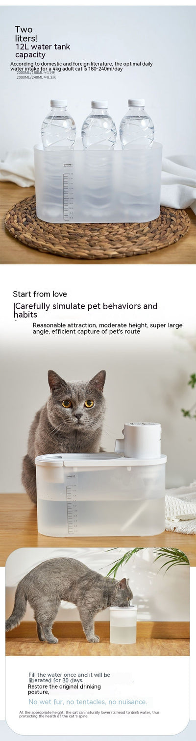 Dispensador Automático de Agua para Mascotas con Carga Inalámbrica - Image 20