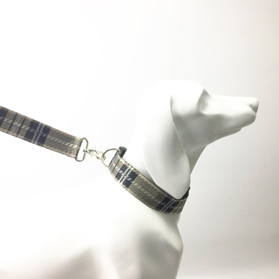 Collar y Correa para Perro Estampado Cuadros - Image 12