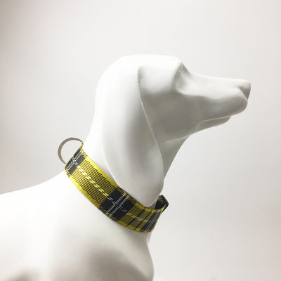 Collar y Correa para Perro Estampado Cuadros - Image 13