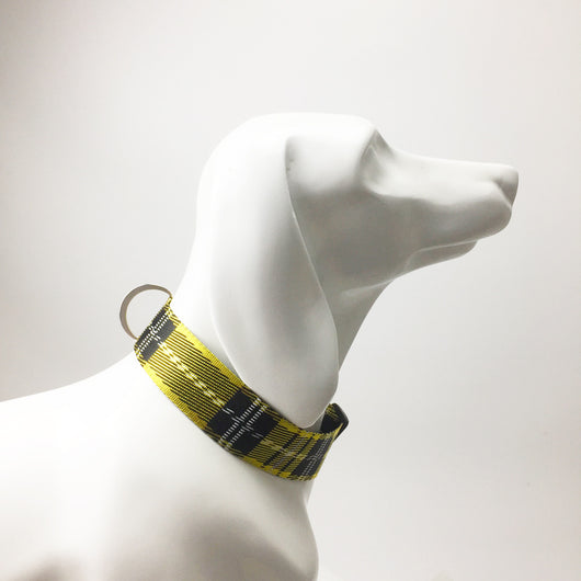 Collar y Correa para Perro Estampado Cuadros - Image 13