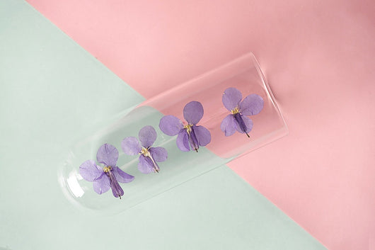 Flores Secas de Orquídea Violeta Premium - Image 12