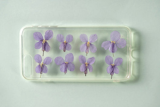Flores Secas de Orquídea Violeta Premium - Image 15
