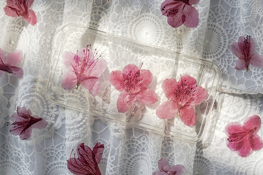 Adorno de Flor de Azalea Deshidratada - Image 15