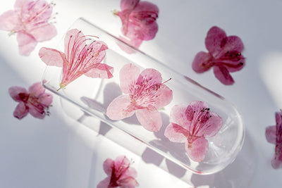 Adorno de Flor de Azalea Deshidratada - Image 18