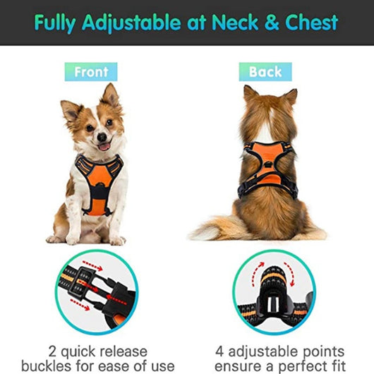 Chaleco Reflectante para Perro con Arnés de Pecho y Espalda Transpirable - Image 31