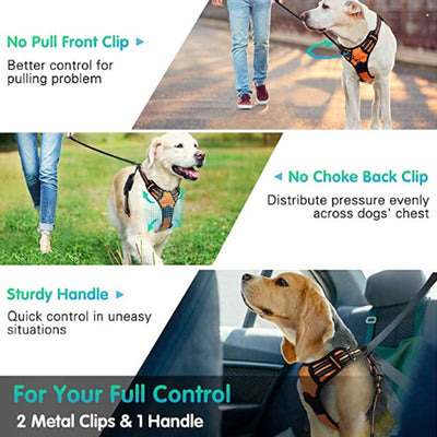 Chaleco Reflectante para Perro con Arnés de Pecho y Espalda Transpirable - Image 33