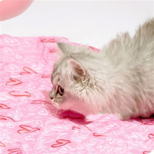 Cubierta Escondite para Gatos - Juguete de Caza y Alivio del Estrés - Image 9