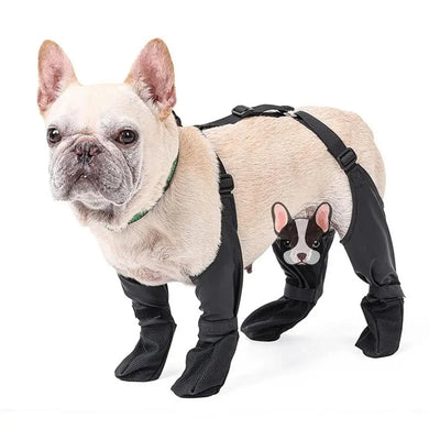 Botas Impermeables para Perros con Ajuste Seguro - Protección Patas Respirable - Image 21