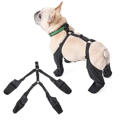 Botas Impermeables para Perros con Ajuste Seguro - Protección Patas Respirable - Image 22