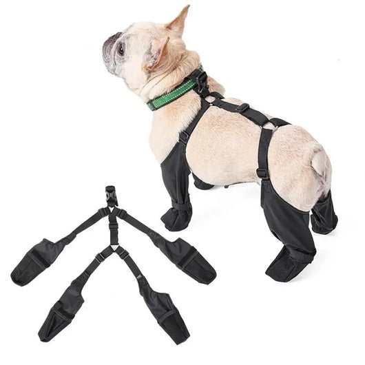 Botas Impermeables para Perros con Ajuste Seguro - Protección Patas Respirable - Image 22