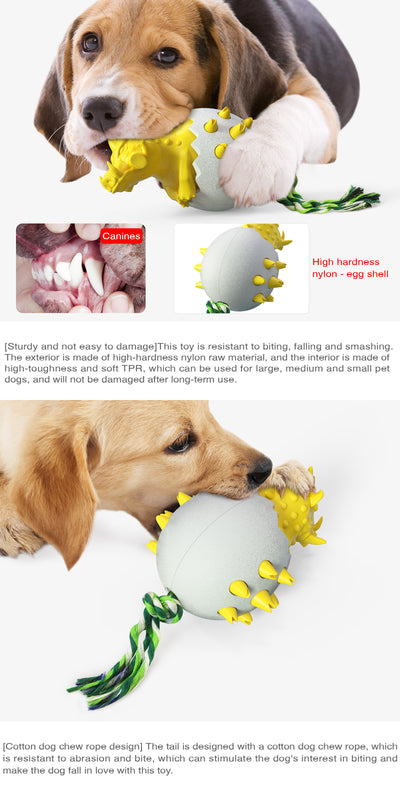 Palo Masticable para Perros con Huevo de Jabalí - Limpiador de Molares - Image 16