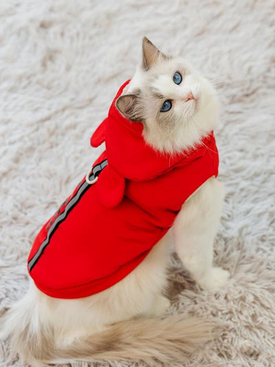 Chaleco Térmico Antibolitas para Gatos - Diseño Azul Degradado para Gatos Británicos de Pelo Corto - Image 18