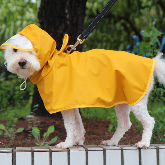 Poncho Impermeable para Perros con Visera Transparente y Banda Abdominal - Image 14
