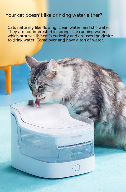 Bebedero Automático para Mascotas con Filtración Continua de Agua Fresca - Image 16