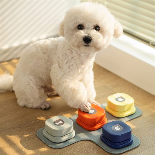 Botones de Comunicación para Mascotas - 4 Colores con Grabación de Voz - Image 30