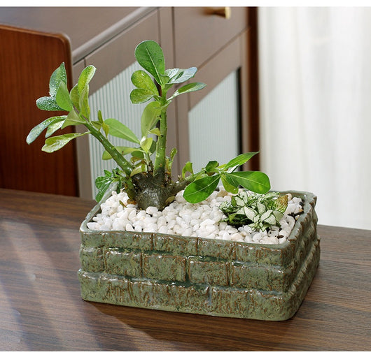 Maceta de Cerámica para Plantas y Flores - Image 16