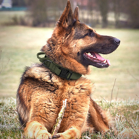 Correa Táctica Ajustable de Nylon para Perros Grandes - Image 30