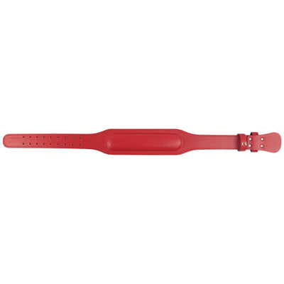 Cinturón de Protección Deportivo para Sentadillas Profundas - Image 7