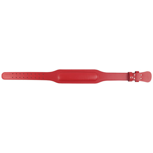 Cinturón de Protección Deportivo para Sentadillas Profundas - Image 20