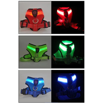 Arnés LED Recargable para Perros con Reflectante de Seguridad - Image 22
