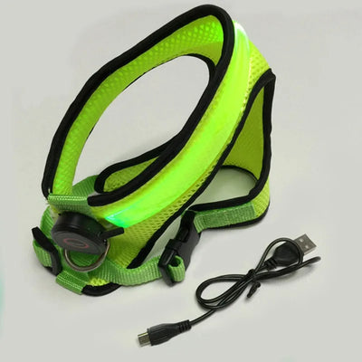 Arnés LED Recargable para Perros con Reflectante de Seguridad - Image 23