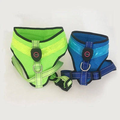 Arnés LED Recargable para Perros con Reflectante de Seguridad - Image 24