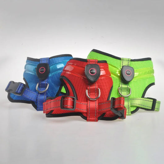 Arnés LED Recargable para Perros con Reflectante de Seguridad - Image 25