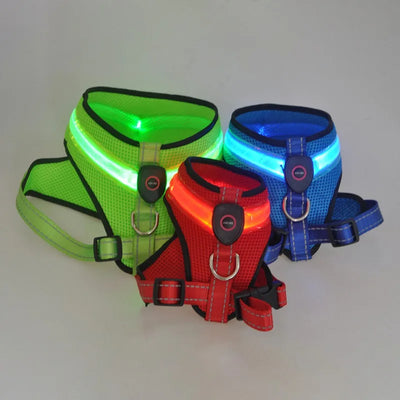 Arnés LED Recargable para Perros con Reflectante de Seguridad - Image 26