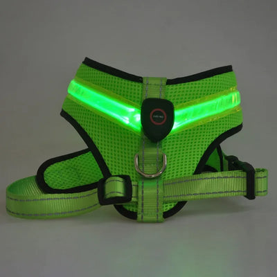 Arnés LED Recargable para Perros con Reflectante de Seguridad - Image 27