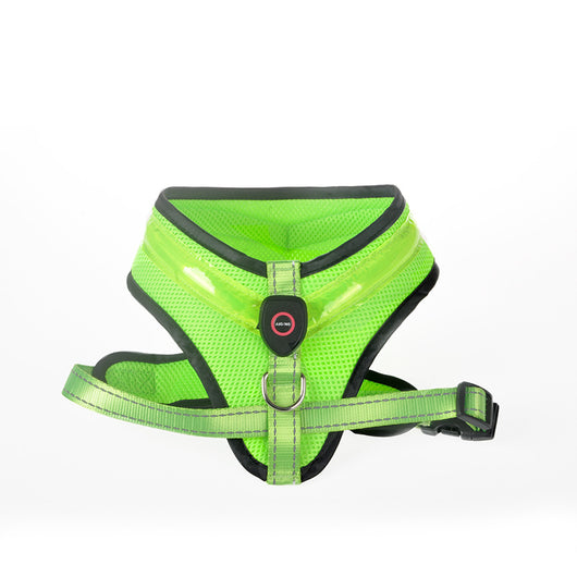 Arnés LED Recargable para Perros con Reflectante de Seguridad - Image 33