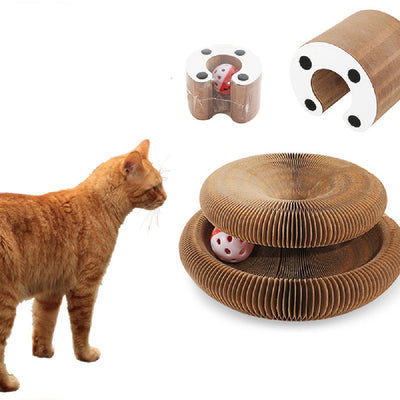 Rascador Interactivo Órgano Mágico para Gatos - Image 20
