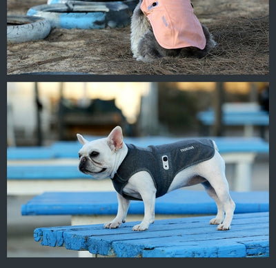 Abrigo Acolchado Antibacterial con Desodorante para Perros - Image 12