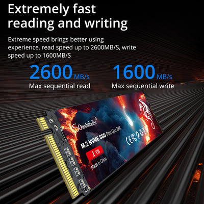 Unidad SSD M.2 NVMe para Portátiles - Image 12