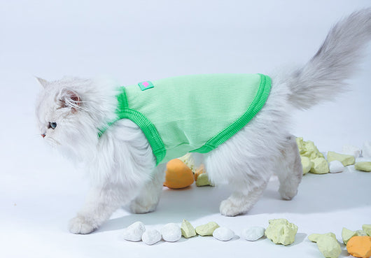 Chaleco Fresco para Gatos - Ropa Delgada de Verano - Image 9