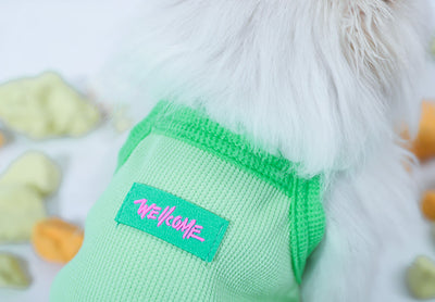 Chaleco Fresco para Gatos - Ropa Delgada de Verano - Image 16