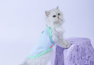 Chaleco Fresco para Gatos - Ropa Delgada de Verano - Image 27