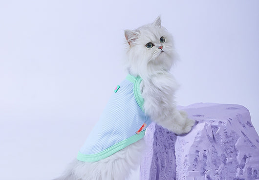 Chaleco Fresco para Gatos - Ropa Delgada de Verano - Image 27
