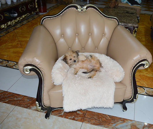 Cama Desmontable y Lavable para Perros con Manta Térmica - Image 21